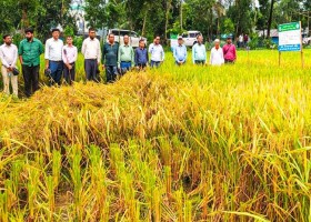 সাতক্ষীরা